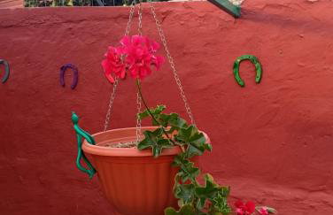 CASA GRANDE FINCA EL CALABRES - Foto 37