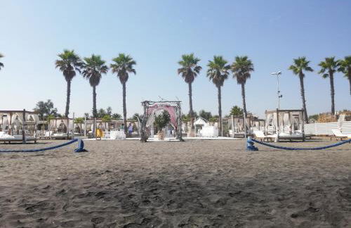 Fenicottero Rosa - Foto 38