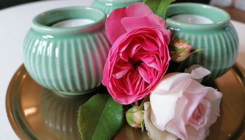 Strohböhn - Photo 3