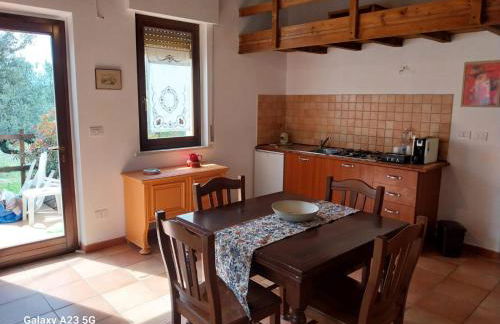 Villa Elster Country House - Foto 9