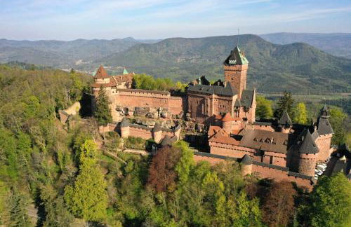 Le petit Châtaignier - Cozy Immo - Foto 37