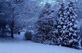 Ferienhaus Mülhaupt - Foto 5