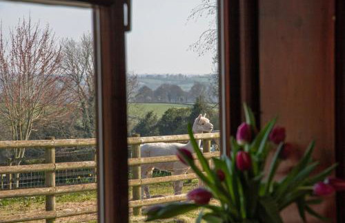 Zoe's Cottage with Alpaca's and 7 mins drive to Alton Towers - Foto 25