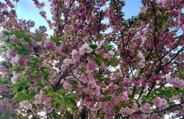 Dimore Granaio nr5 Wine & Countryside Experience, welcome box, free parking & pool - Photo 46