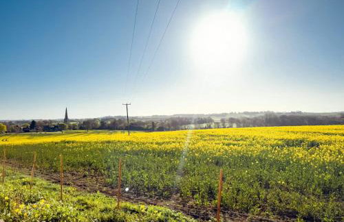 The Cotswold Barn nr Moreton in Marsh - Foto 27