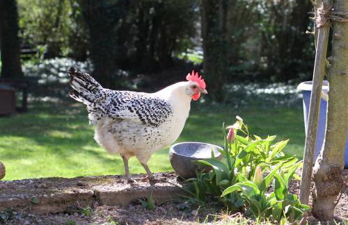 Schöne Wohnung 90qm mit Sonnenterrasse und Aussicht - Foto 23