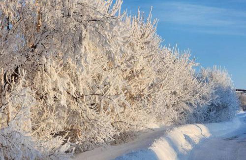 Lake View Horse Ranch - Foto 15