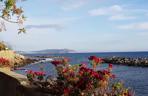 Petra Marina Aurora - Foto 40