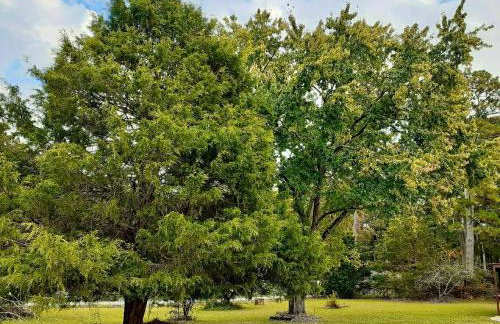 Nice and Cozy - Foto 20