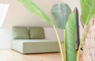 Liiiving in Porto - Cedofeita Green Terrace - Foto 62