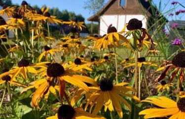 Warmia Resort - Foto 74