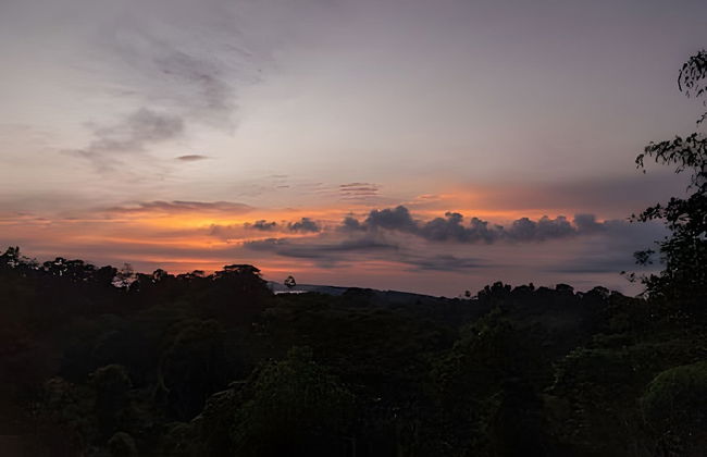 Balsa Nueva Lodge - Foto 14