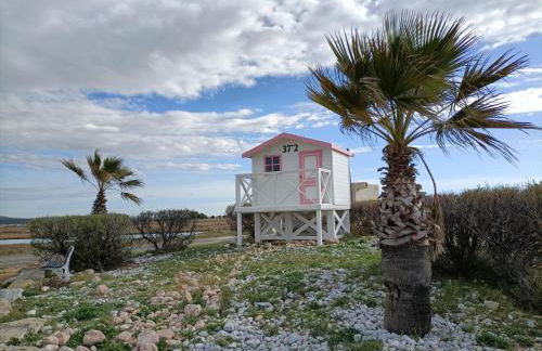 L'hippocampe - Foto 17