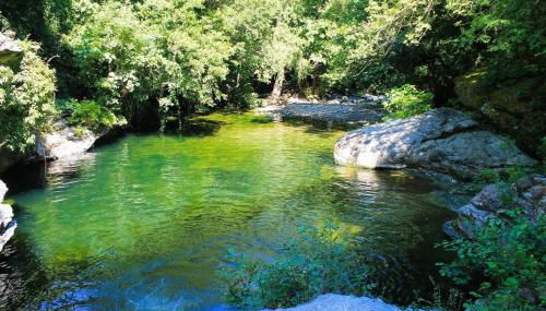 Tiny house Murato - Terrace on stilts - Nature - Foto 5