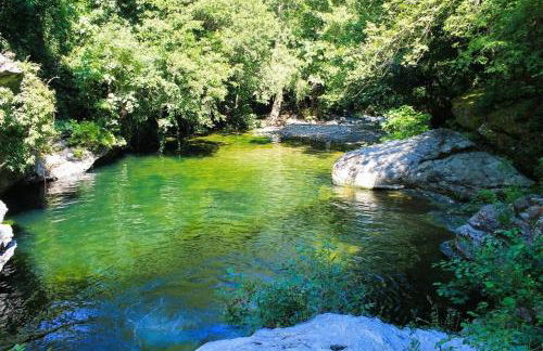 Tiny house Murato - Terrace on stilts - Nature - Foto 5