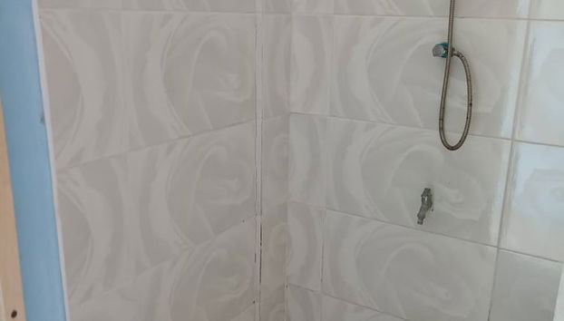 Logerthine Jan Suriname - Foto 3, Baño