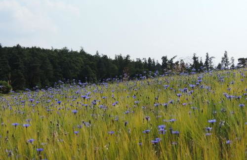 Holiday Home Ederseeblick in Bringhausen am Edersee by Interhome - Foto 26