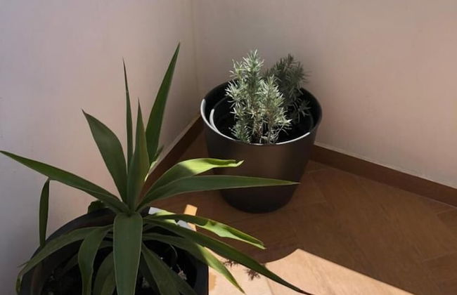 Penthouse Apartment With Panoramic Views - Photo 25