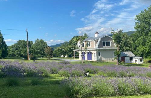 Riverview Suite at La Soledad - Foto 28