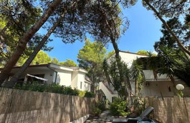 La Conchiglia - Foto 27