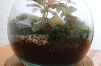 Vacation House Home, Plitvice Lakes National Park - Foto 22