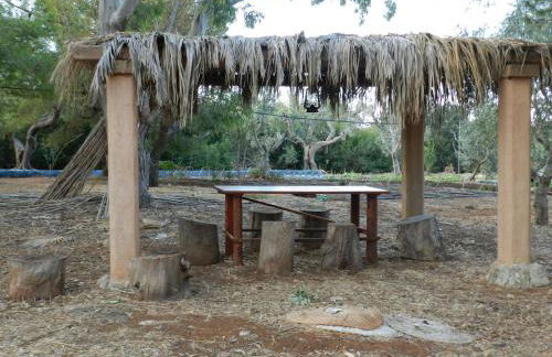 Macchia Salentina - Foto 43