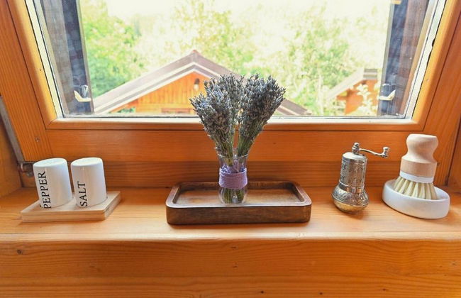 Lavanda Land - Villatanya Mrežnica - Foto 30