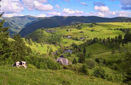 Landhaus Valentin - Foto 53