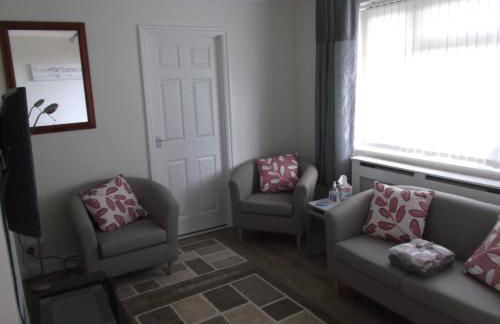 Sea Shells - Foto 14