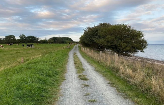 6 Person Holiday Home in Bjert - Foto 19