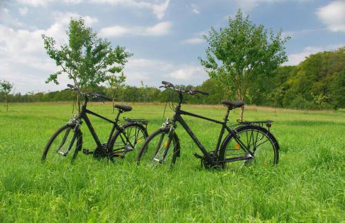 Agroturystyka w Folwarku Uradz - Foto 16