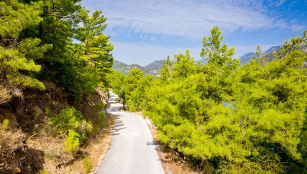 Admire the beautiful scenery