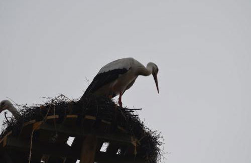 radlerunterkunft Grabau Nr.1 - Foto 19