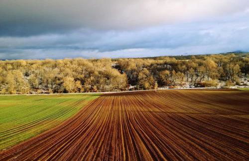 Apartment in Cirueña with Vineyards View - Foto 38