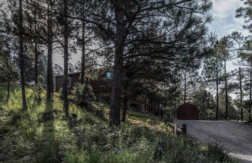 Horsin Around-cabin With A Peaceful Covered Deck - Foto 24