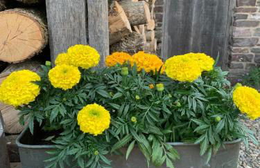 Coach House - Foto 36