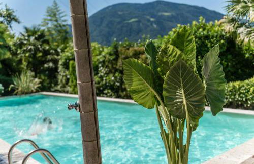 Residence Fischerhof - Foto 41