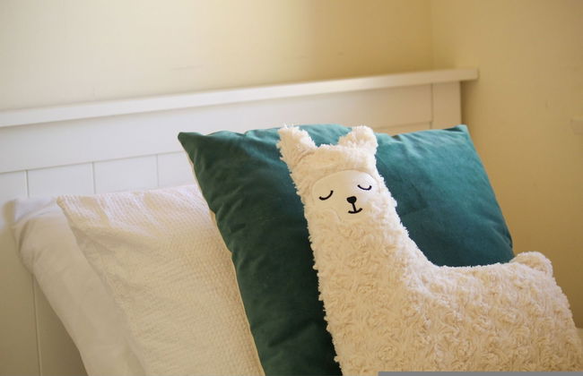 Mclaren Vale Vineyard Homestead - Foto 18