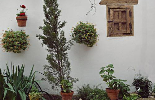 Apartamentos La Vida de Antes - Photo 78