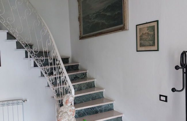 Oliva Azzurra - Foto 24