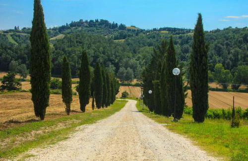 Colle Bertini - Foto 33