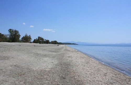 Jassemi Studio - Foto 23