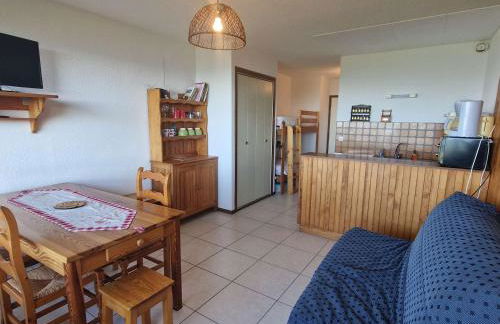 Studio Chaleureux 4 Pers avec Terrasse - Saint-Michel-de-Chaillol - FR-1-393-52 - Foto 1