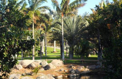 NG LA SALLE - Santa Cruz de Tenerife - Foto 16