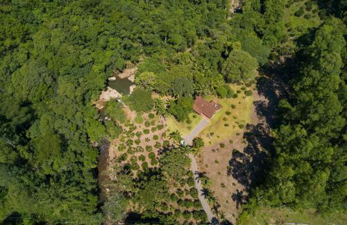 Canto da cascata - Foto 56