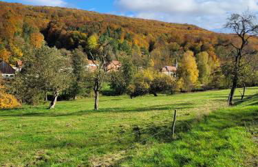 Ferienwohnung Rhön-Kutscher - Foto 28