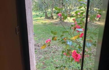 Agriturismo La Pieve - Foto 50