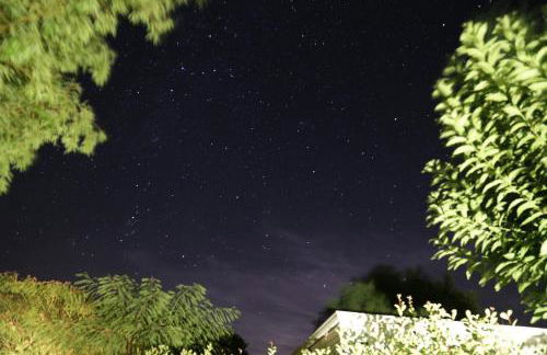 Wooden chalet, for 4 people air-conditioned - Photo 18