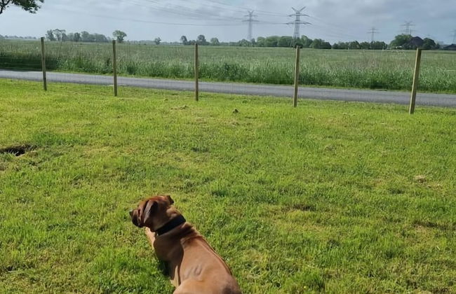 Holiday Home Ckate Comfortable Vacation Home - Foto 13