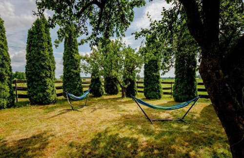 Siedlisko Waniewo 64 - Foto 42